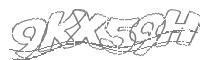 Check code