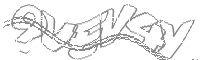 Check code