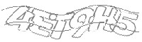 Check code